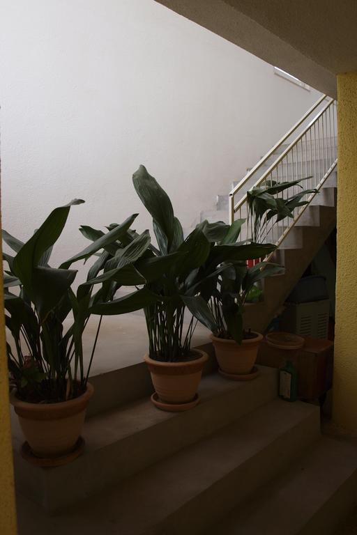 Apartments Viktorija Starigrad Paklenica Eksteriør billede
